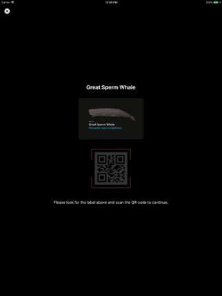 Australian Museum Games screenshot
