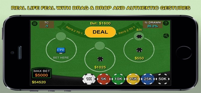 Blackjack 21 Pro Multi-Hand screenshot