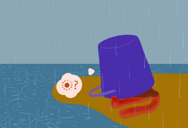 cat&bucket Image
