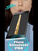 Flute Simulator PRO Image