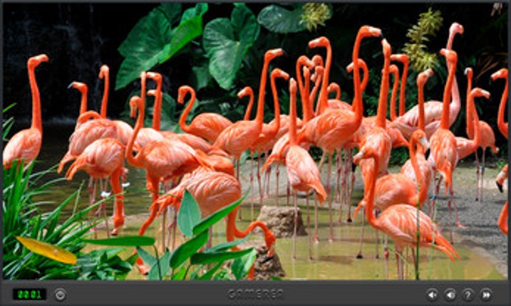 Animals Of The World Image