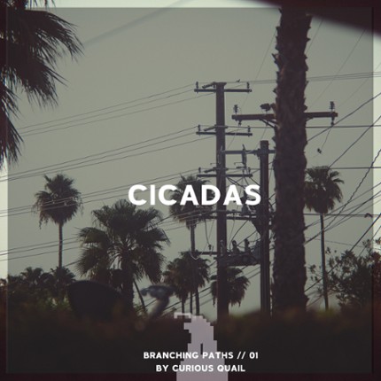 Cicadas Image