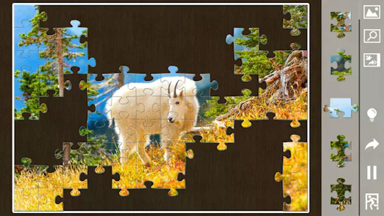 Jigsaw puzzles for everyone Image