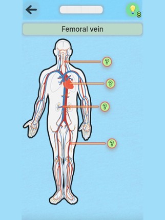 Anatomy Game screenshot