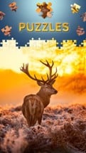 Animals Jigsaw Puzzles 2017 Image