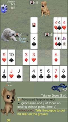 K9 Shanghai Rummy screenshot
