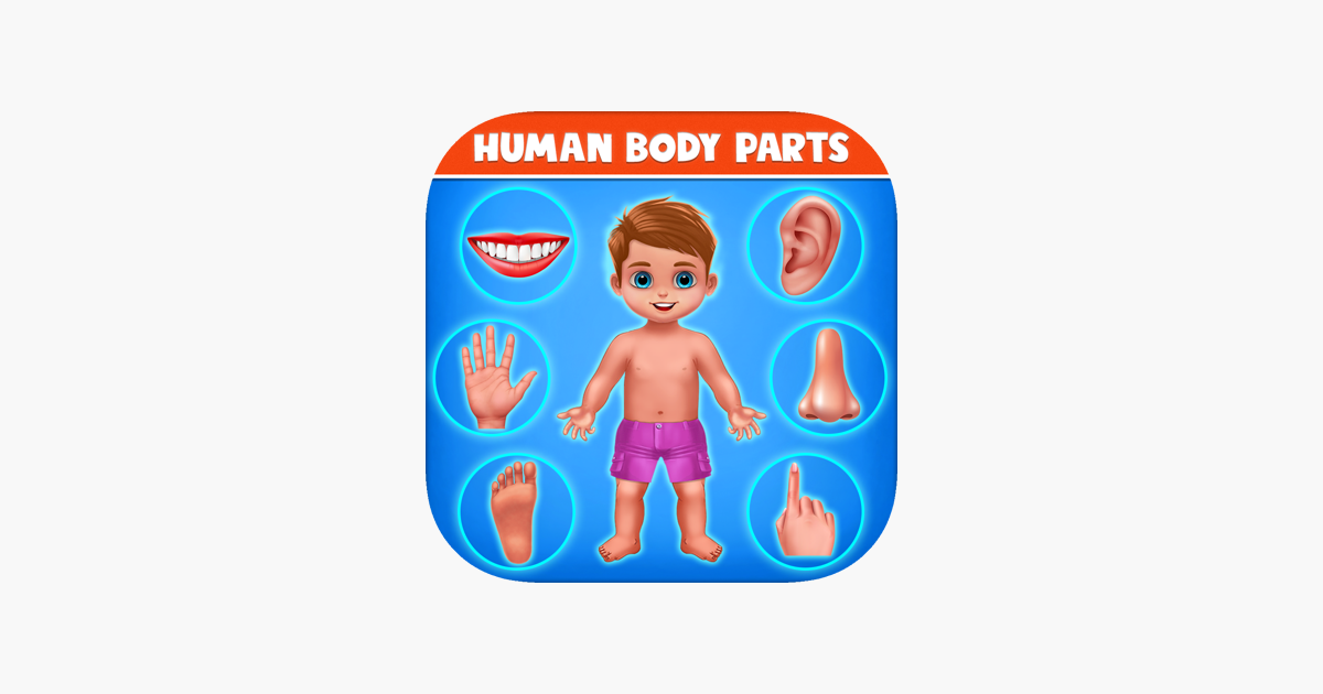 Games like Human Body Parts Play to Learn