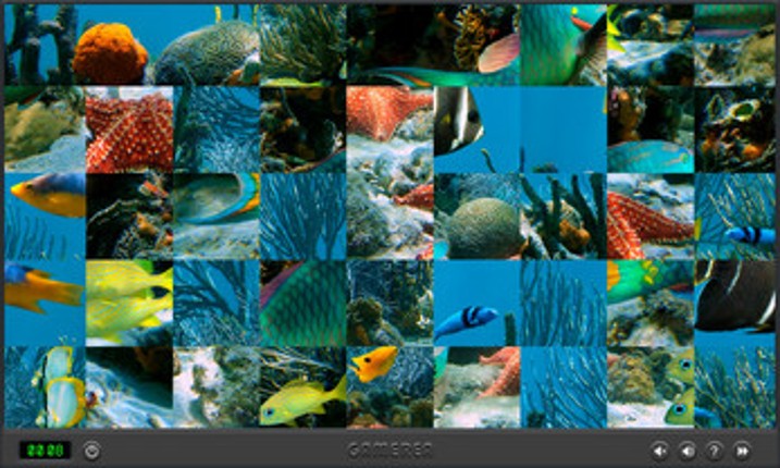 Animals Of The World screenshot