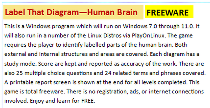 Label That Diagram - Human Brain Image