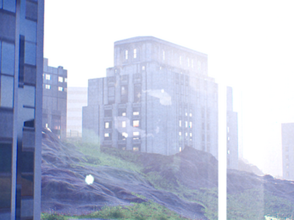 Anemoia Image