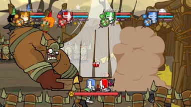 Castle Crashers Image