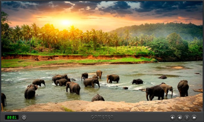 Animals Of The World screenshot