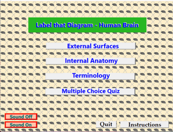 Label That Diagram - Human Brain screenshot