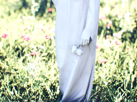 Anemoia screenshot