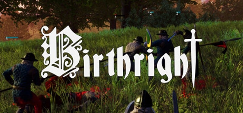 Birthright Game Cover