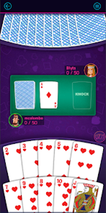 Gin Rummy Blyts screenshot