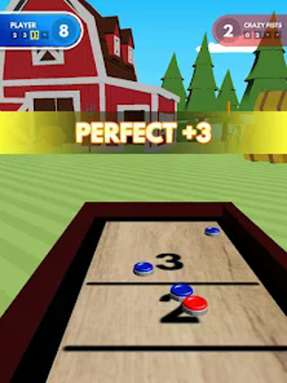 Shuffleboard Challenge screenshot