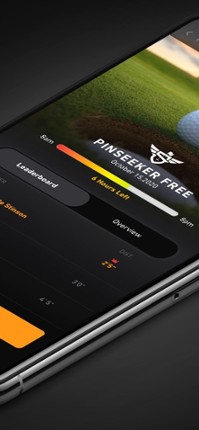PinSeeker Game Image