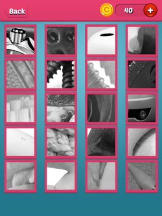 Quiz Pic: Close Ups screenshot