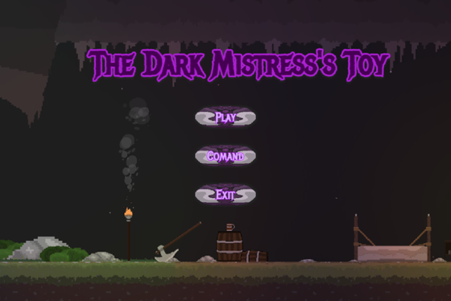 The Dark Mistress's Toy Image