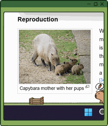 Desktop Capybaras Image