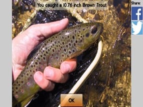 Fly Fishing Simulator HD Image