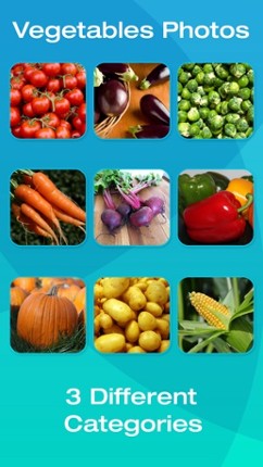 Fruit and Vegetable Picture Flashcards for Babies, Toddlers or Preschool (Free) Image