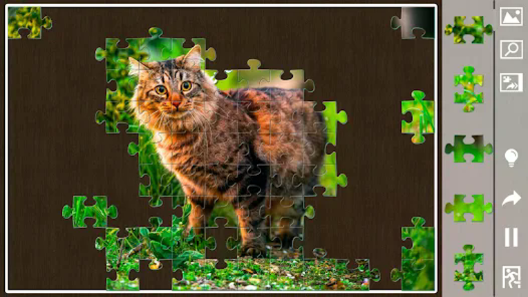 Jigsaw puzzles for everyone Image