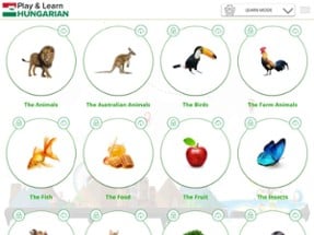 Play and Learn HUNGARIAN Image