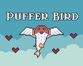 Puffer Bird Image