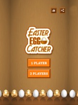 Easter Egg Hunt Catcher Image