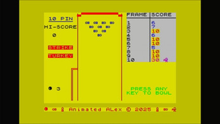 10 PIN Image