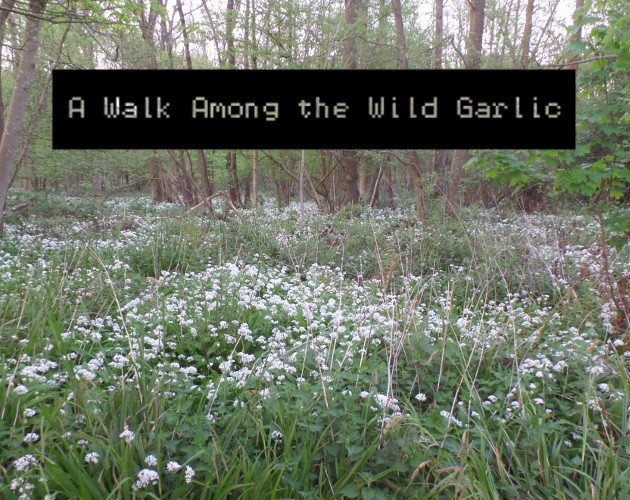 Games like A Walk Among the Wild Garlic