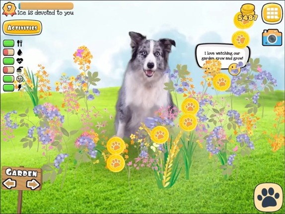 Dog Games Virtual Pet: Fruwee screenshot