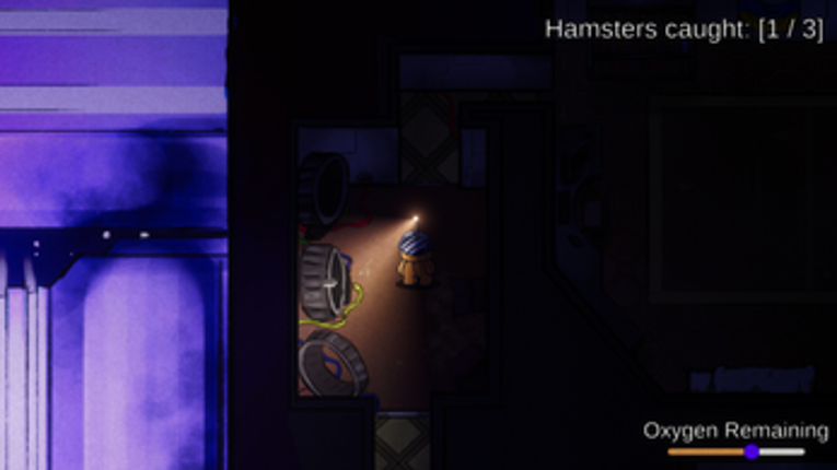 Hamsters In The Dark Image