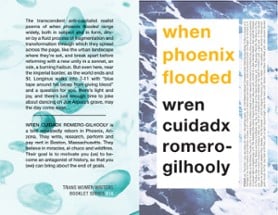 when phoenix flooded Image