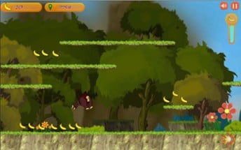 Monkey Kong Adventure Image