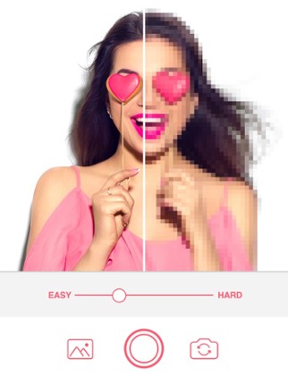Pixel Coloring-Color by Number Image