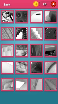 Quiz Pic: Close Ups screenshot