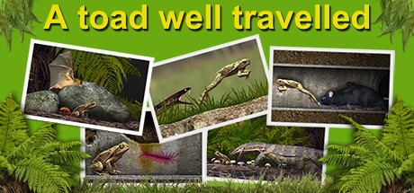 Games like A toad well travelled