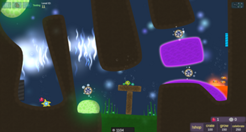 Asteroidea Beta Image