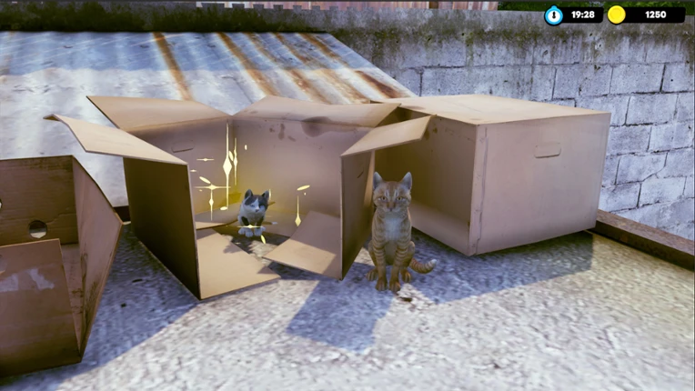 Little Strays: Beyond Havana screenshot