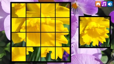 OG Puzzlers: Spring 2K24 Image