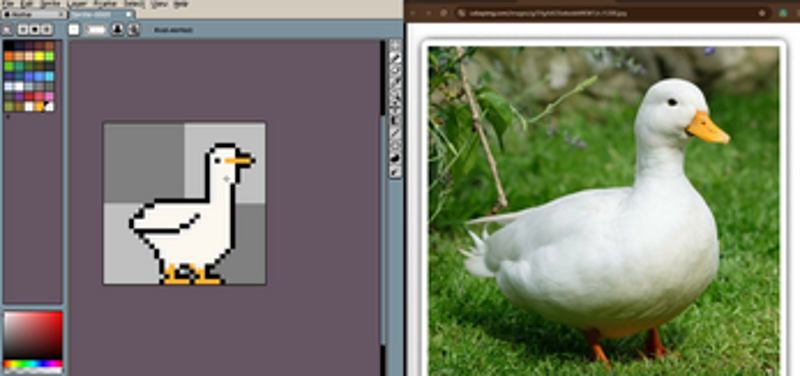 Ducky Volley Image