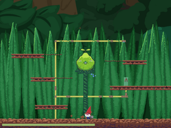 Little Grow Image