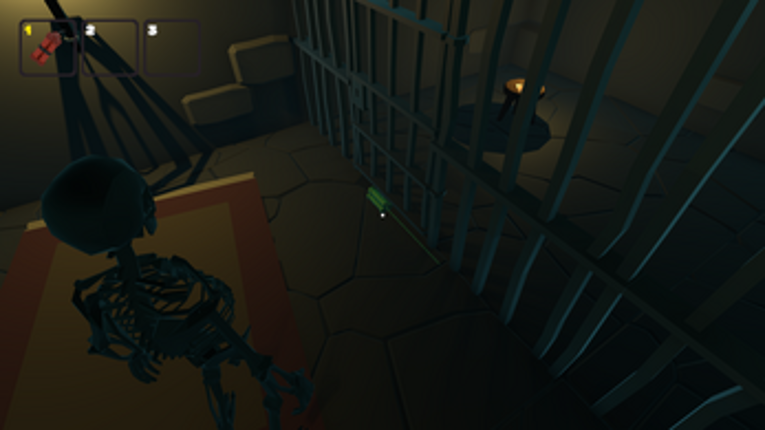 Nichola's Cage Image