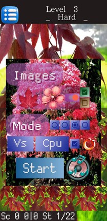 P3T Image