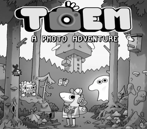 Toem Image