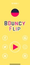 Bouncy Flip Image