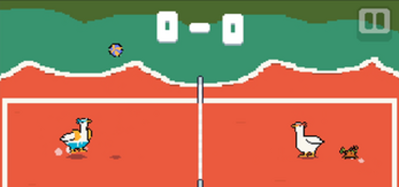 Ducky Volley Image